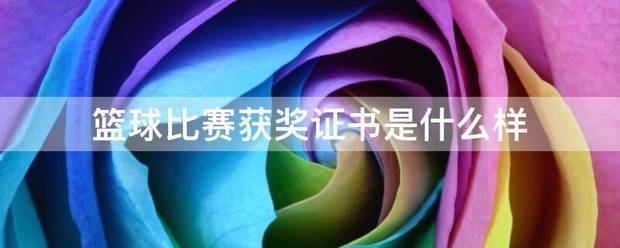 如何为残疾人士提供适合的篮球辅导_2